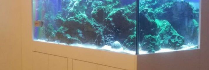 ארון לאקווריום